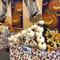Lackland AFB Commissary - White ? Pumpkins
