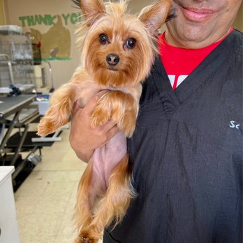 Furr Paradise - Pet Groomers Near Me - Santa Ana, California Furr Paradise - Pet Groomers Near Me - Santa Ana, California