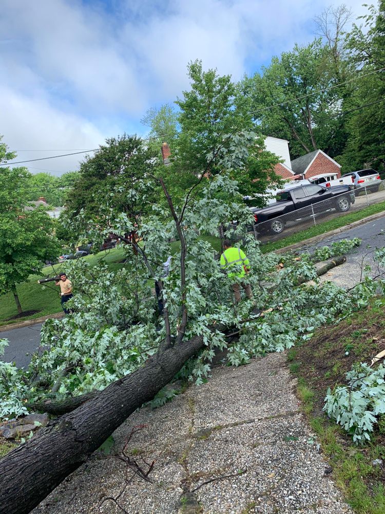 Slide of Bonilla Lumber Jacks