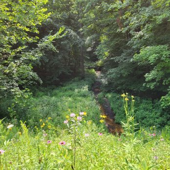 Hogback Ridge Preserve - Scenic area by road - Parks Near Me - Sunbury, Ohio