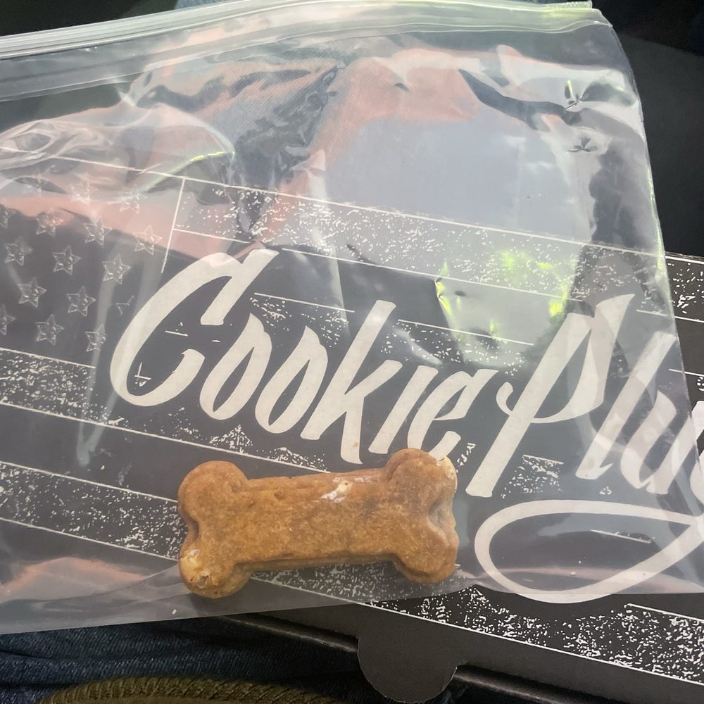 Cookie Plug - Dog cookie - Desserts Near Me - Avondale, Arizona