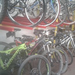 Great selection of bikes. Great selection of bikes.