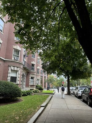 Boston University by null