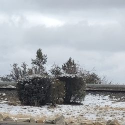 user provided Embry Riddle Aeronautical University photo