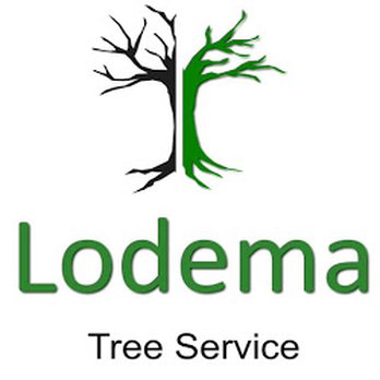 Lodema Tree Service - logo - Tree Services Near Me - Sussex, New Jersey Lodema Tree Service - logo - Tree Services Near Me - Sussex, New Jersey