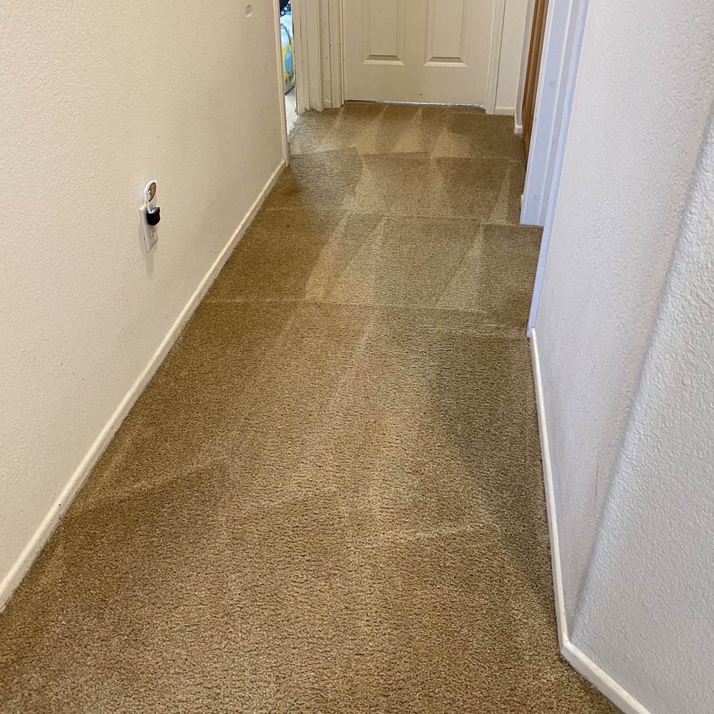 FH Carpet Cleaning - Hallway cleaned 06-2021 - Carpet Cleaning Near Me