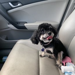 After her haircut