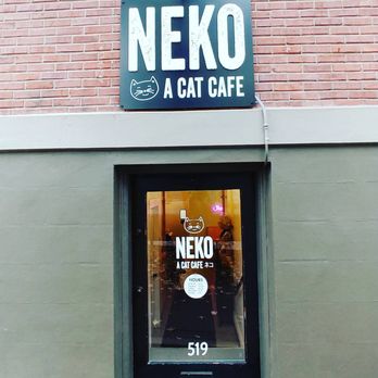 NEKO: A Cat Cafe - Themed Cafes Near Me - Seattle, Washington NEKO: A Cat Cafe - Themed Cafes Near Me - Seattle, Washington