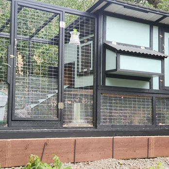 For The Birds CC - Our chickens new home. Easily housing 6 chickens. Could probably handle eight without issues. - Pet Services Near Me For The Birds CC - Our chickens new home. Easily housing 6 chickens. Could probably handle eight without issues. - Pet Services Near Me