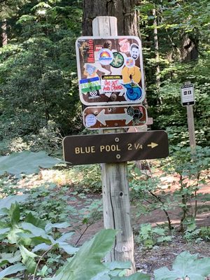 Tamolitch Falls (Blue Pool) by null