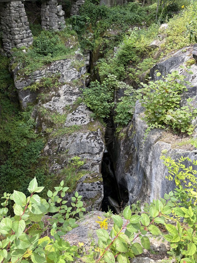 Natural Bridge State Park Logo