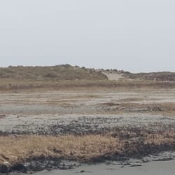 Schiermonnikoog Eiland - Schiermonnikoog
