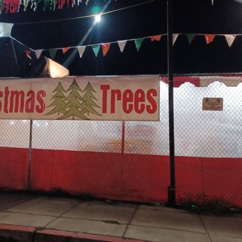 Emerald Forest Christmas Trees & Great Pumpkin Patch - Christmas Trees Near Me - San Francisco, California