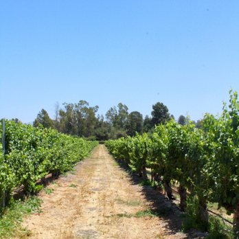 Lincourt Vineyards - Wine Tasting Room Near Me - Solvang, California Lincourt Vineyards - Wine Tasting Room Near Me - Solvang, California