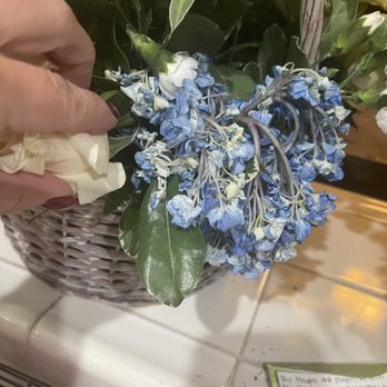 East Bay Flowers - Florists Near Me - San Leandro, California East Bay Flowers - Florists Near Me - San Leandro, California