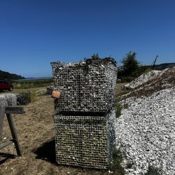 Hama Hama Oyster Company - Oyster shells