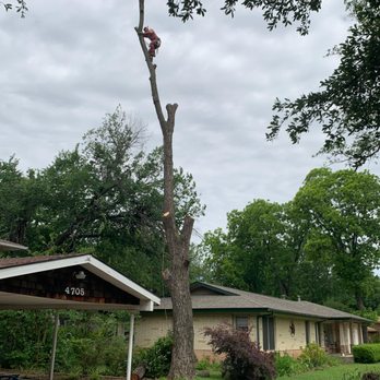 Classic Cuts Tree Trimming and Removal - Call us for 24/7 emergency tree service! - Tree Services Near Me