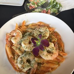 Shrimp and zucchini in blush pasta