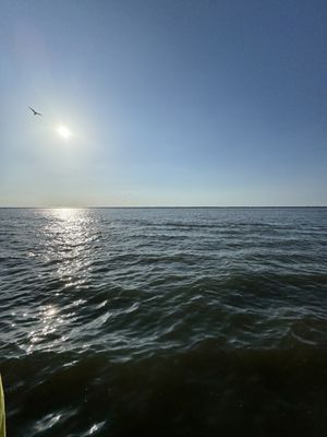 Voinovich Bicentennial Park by null