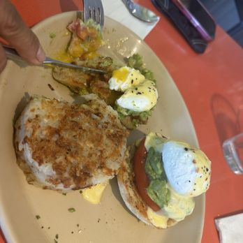 Snooze, an A.M. Eatery - Avocado delight - Breakfast & Brunch Near Me - Houston, Texas