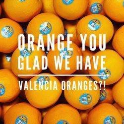 Patagonia Orchards - Your source for certified organic Valencia oranges! We have Fancy, Choice and Juice grade.