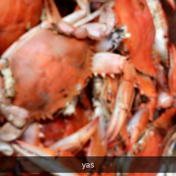Vernon & Steves Crabs - the size of the crab - Seafood Near Me - Woodbridge, Virginia Vernon & Steves Crabs - the size of the crab - Seafood Near Me - Woodbridge, Virginia