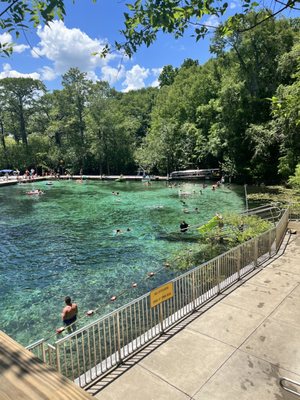 Fanning Springs State Park by null