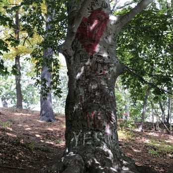Roger Williams Park - Tree on walking trail on pond walkway - Parks Near Me - Providence, Rhode Island