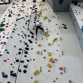 Velocity Climbing - Rock Climbing Near Me - Miami, Florida Velocity Climbing - Rock Climbing Near Me - Miami, Florida