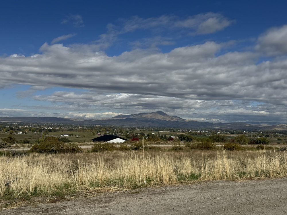 Tyler's Rocky Point Orchard Logo