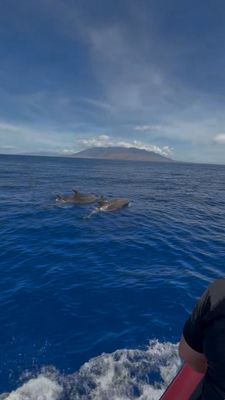 Redline Rafting by null