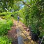 Photo of Montes Landscaping