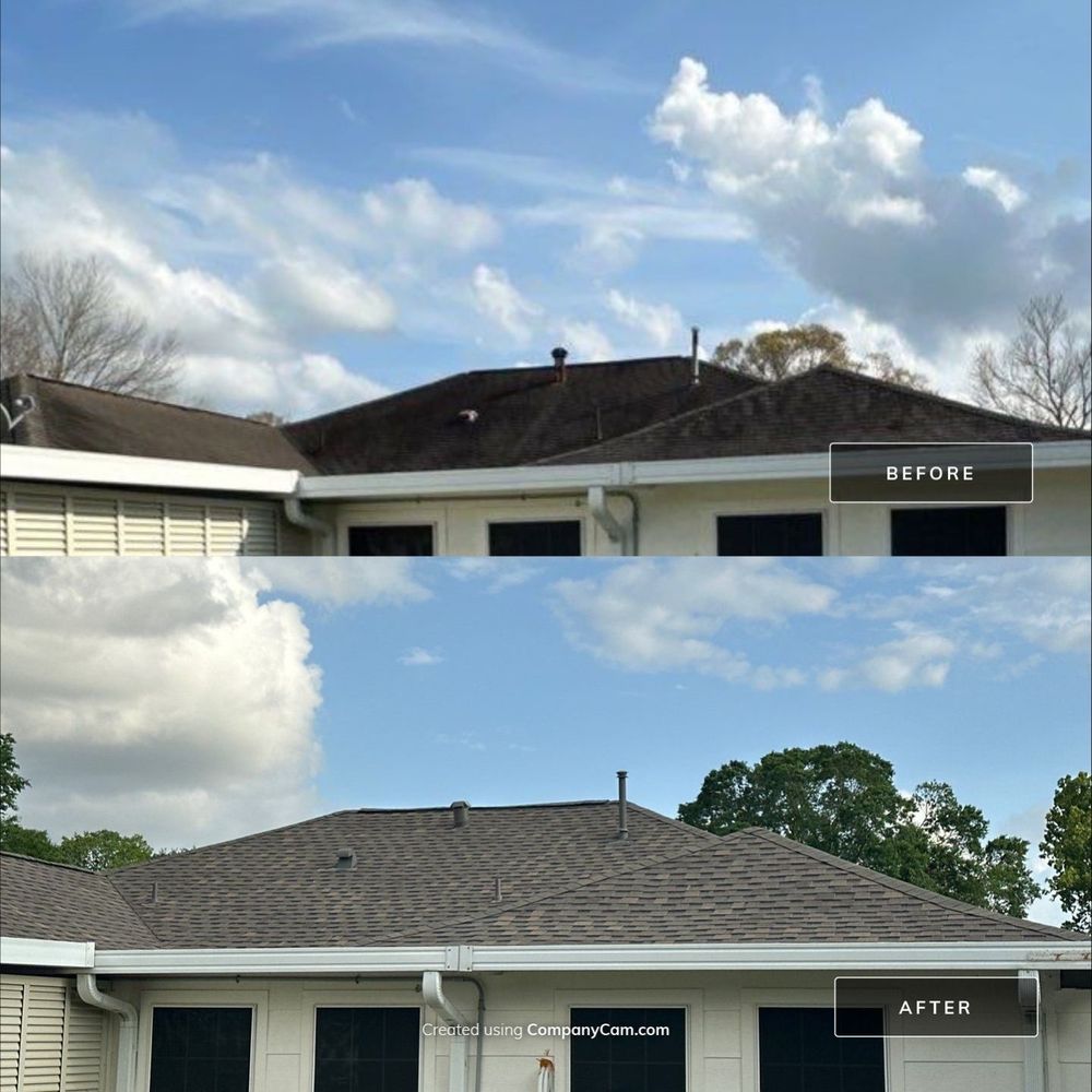 Slide of Roofelangelo