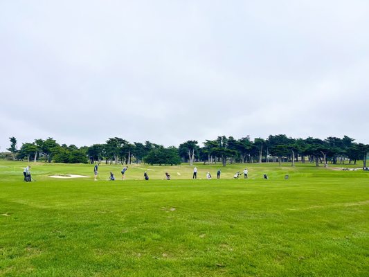 Bayonet & Black Horse by null