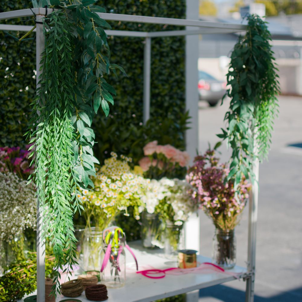 Violet Cactus Petite - Party Equipment Rentals Near Me - Burbank, California