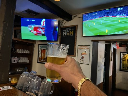 The Fox and Hounds by null