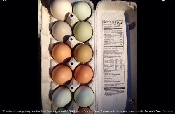 BENNER’S FARM - Updated May 2025 - 55 Photos & 29 Reviews - 56 Gnarled ...