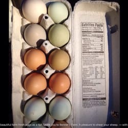 Benner's Farm - Yummy, farm fresh eggs!!
