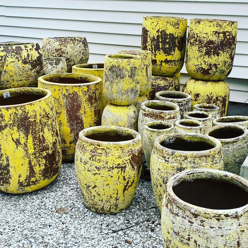 BEACH POTTERY Updated October 2024 49 Photos 17980 San Carlos