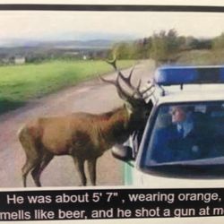 Chris’ Plumbing & Drain