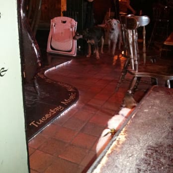 Last Inn - Perfect for dog lovers - Pubs Near Me - Barmouth, GWN
