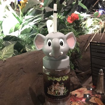 Rainforest Cafe - Nice souvenir for only $8 with a snack section, mini animal in snacker section, BUT it does NOT state if it's BPA or phthalate free. - American Near Me - Gurnee, Illinois Rainforest Cafe - Nice souvenir for only $8 with a snack section, mini animal in snacker section, BUT it does NOT state if it's BPA or phthalate free. - American Near Me - Gurnee, Illinois