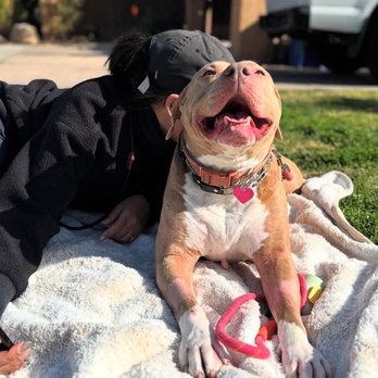 CASE Animal Hospital - My sweet girl home and feeling like herself again! - Emergency Pet Hospital Near Me - Anaheim, California CASE Animal Hospital - My sweet girl home and feeling like herself again! - Emergency Pet Hospital Near Me - Anaheim, California