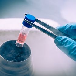 Lemper Brian A DO - Ask about STEM CELL therapy