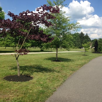 Sorbello's Landscaping - a tree in a park - Landscaping Near Me - Harrison Township, New Jersey Sorbello's Landscaping - a tree in a park - Landscaping Near Me - Harrison Township, New Jersey