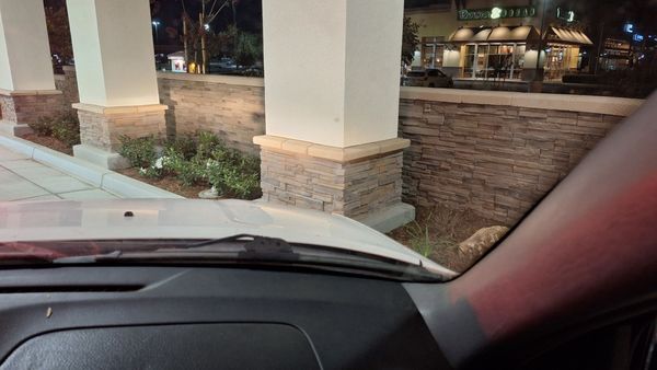 In-N-Out Burger by null