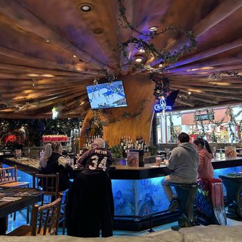 Rainforest Cafe - Bar - American Near Me - Gurnee, Illinois Rainforest Cafe - Bar - American Near Me - Gurnee, Illinois