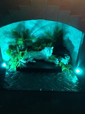 The Get Down Music Venue by null