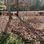 Photo of Stone Creek Landscaping