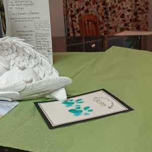 ANIMAL URGENT CARE OF SOUTH ORANGE COUNTY - 79 Photos & 329 Reviews